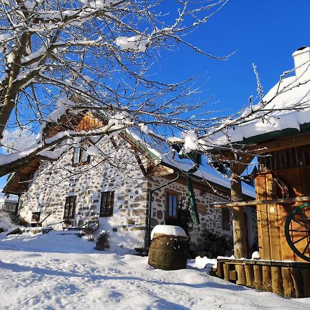 Ferienhaus Friedlhof Langschlag  Eksteriør bilde