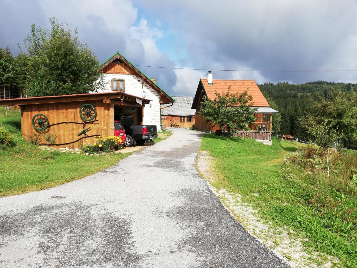 Ferienhaus Friedlhof Langschlag  Eksteriør bilde