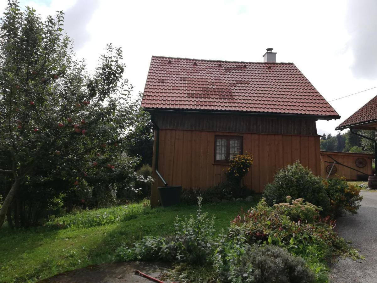 Ferienhaus Friedlhof Langschlag  Eksteriør bilde